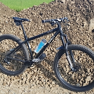 Ron Ric's Surly Karate Monkey