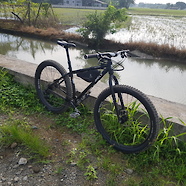 Ron Ric's Surly Karate Monkey