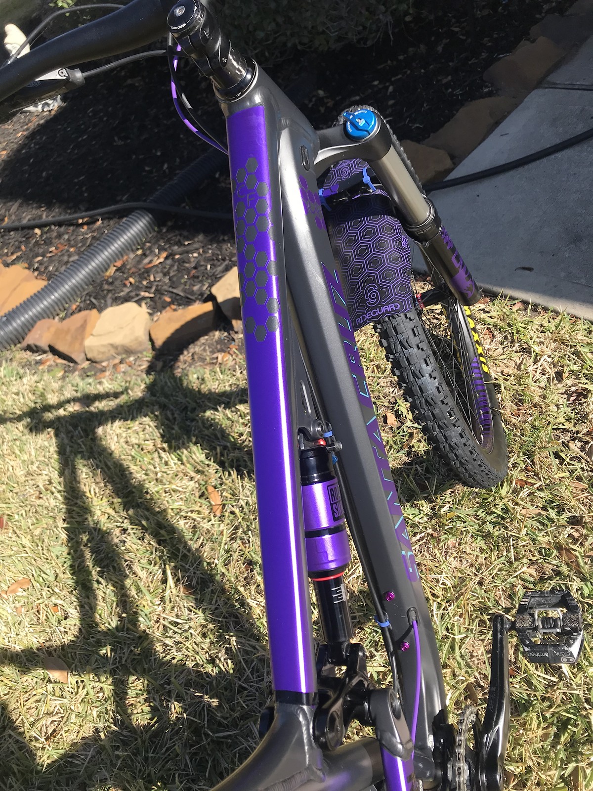 purple princess bike
