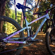 Norco Fluid "Elizabeth Braddock"