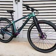Santa Cruz Chameleon Custom 2021