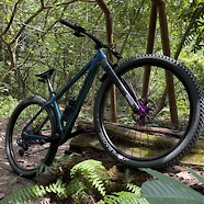Santa Cruz Chameleon Custom 2021