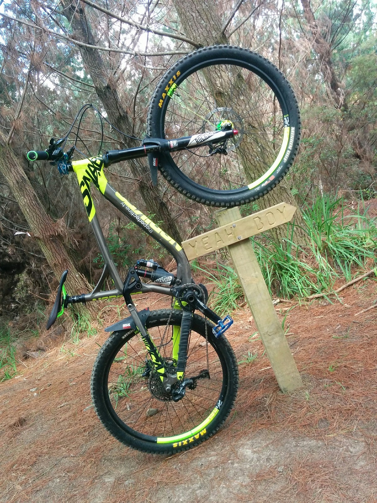 s1600 IMG 20180127 100144.jpg?VersionId=Xe30K3r8k ueNdcFIaxMElk