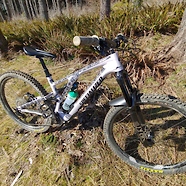 2021 Stumpy Evo (custom comp build) S4