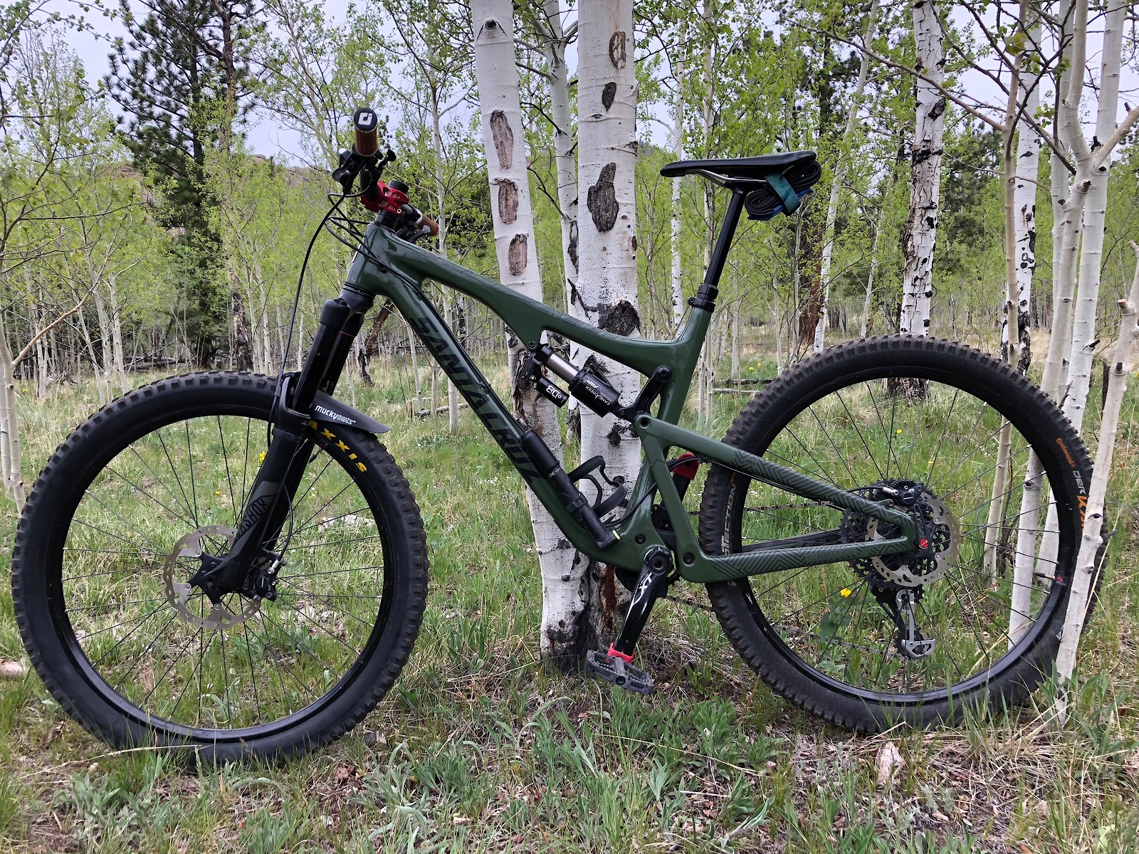 wolf mtb 27.5