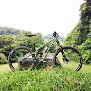 2020 Pivot Switchblade - Treeline Green