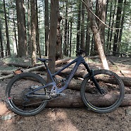 Trusty Santa Cruz Megatower
