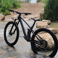 Trek fuel ex 8 - 2020