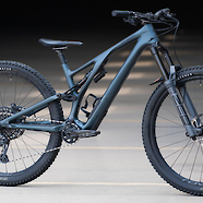 2022 Specialized Stumpjumper Evo Expert