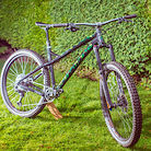 Custom Dartmoor Primal 2020