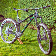 Custom Dartmoor Primal 2020