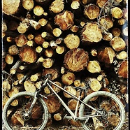 Bike Bob's special Vendetta
