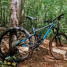 2018 Marin Hawk Hill Build - Shredding on a Budget