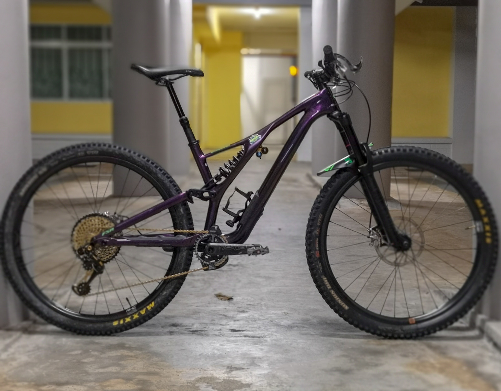 stumpjumper 2019 expert