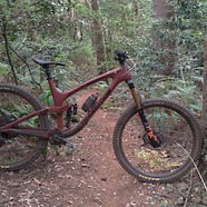 Transition Sentinel Carbon V1