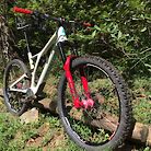 2019 Specialized Stumpjumper