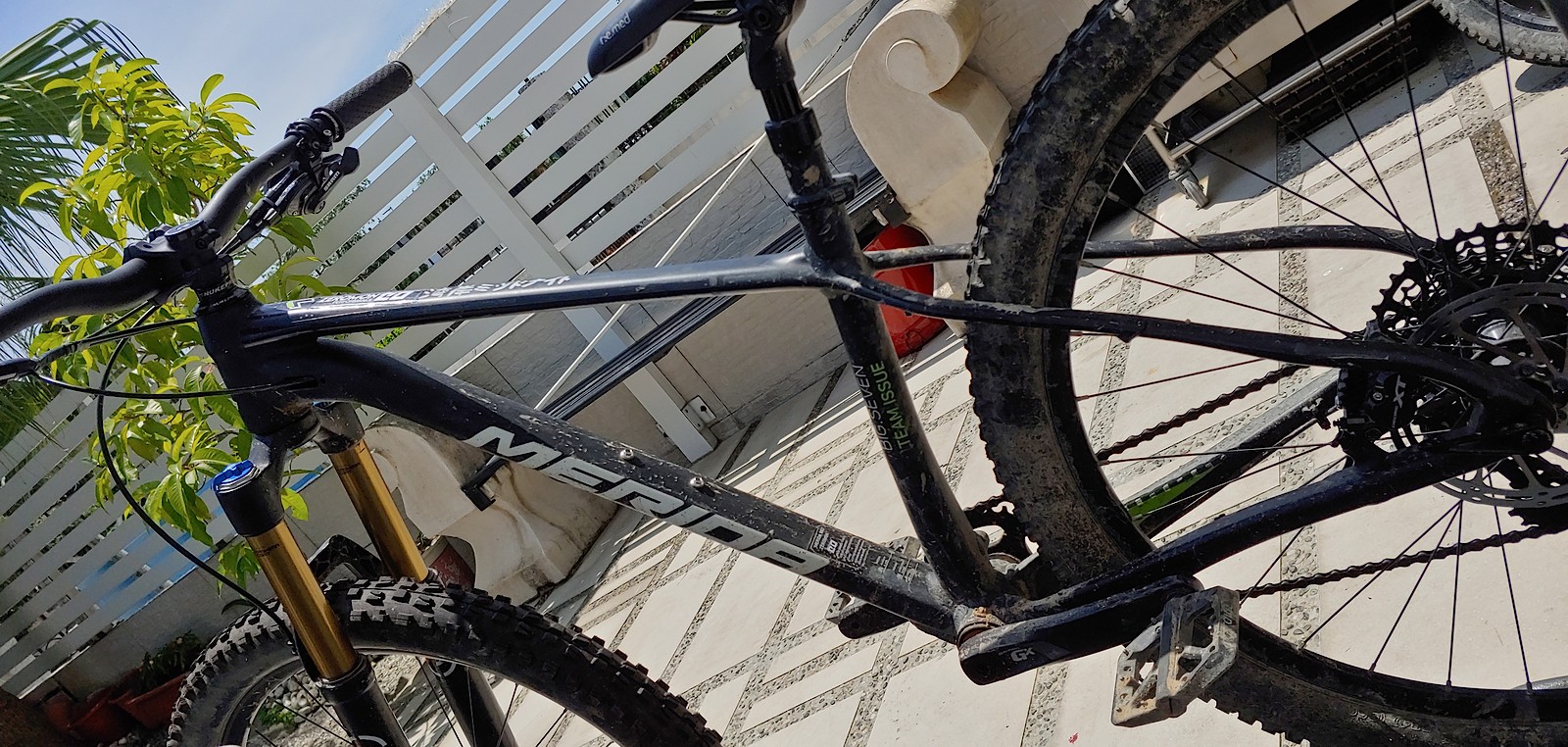 s1600 20190805 133727 HDR