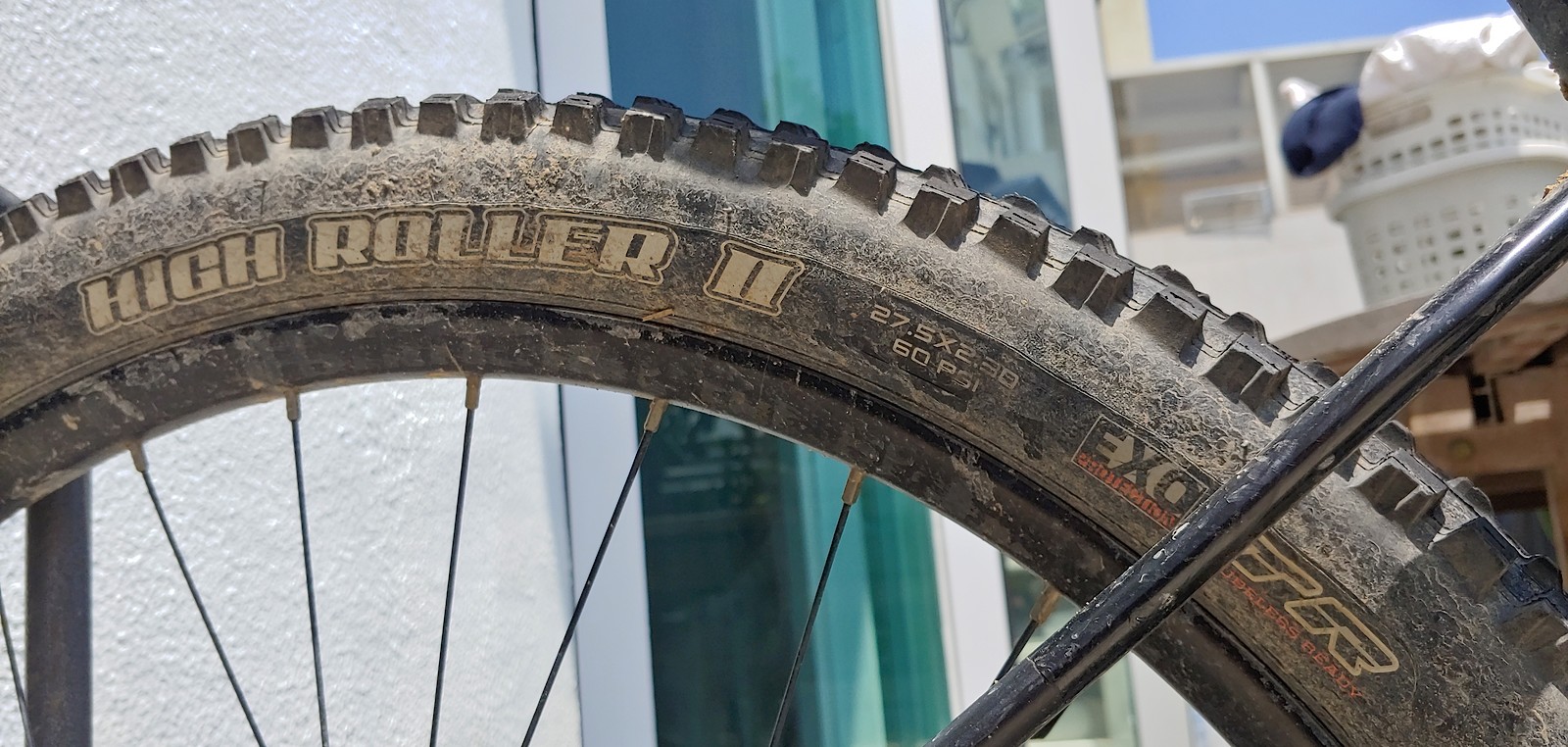 s1600 20190805 133359 HDR.jpg?VersionId=sXMtuAPLyVB8jZWdS