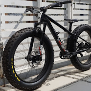 "SHOUKA" | ENLUN Tuning™ Custom Carbon Fat Bike