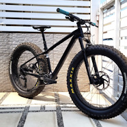 Borealis ECHO Hardtail Fat bike | ENLUN Tuning™