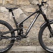 Propain Tyee CF 29"