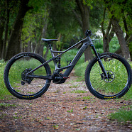 Orbea Found in the Wild