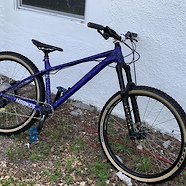 bird skull mtb's NS Bikes eccentric:TONY