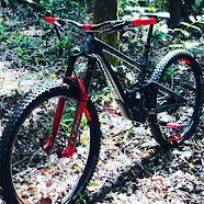Specialized SWORKS Enduro 2020