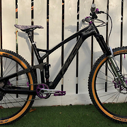 RC295 Trail Ninja