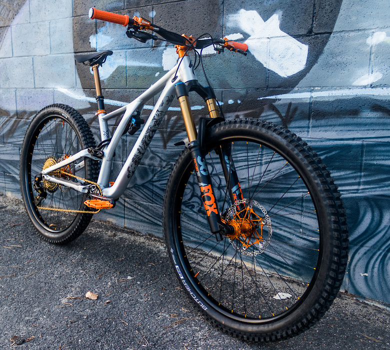 2019 stumpjumper bash guard
