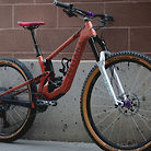 Juliana "Mullet" Furtado Tiger bike