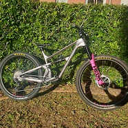 Revel Rascal