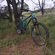 Ragley Bluepig 2019 custom build