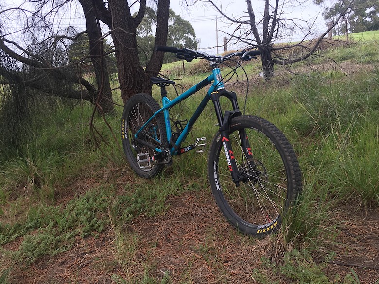 2019 ragley blue pig