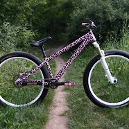 Dartmoor Two6Player Pink Pisechka