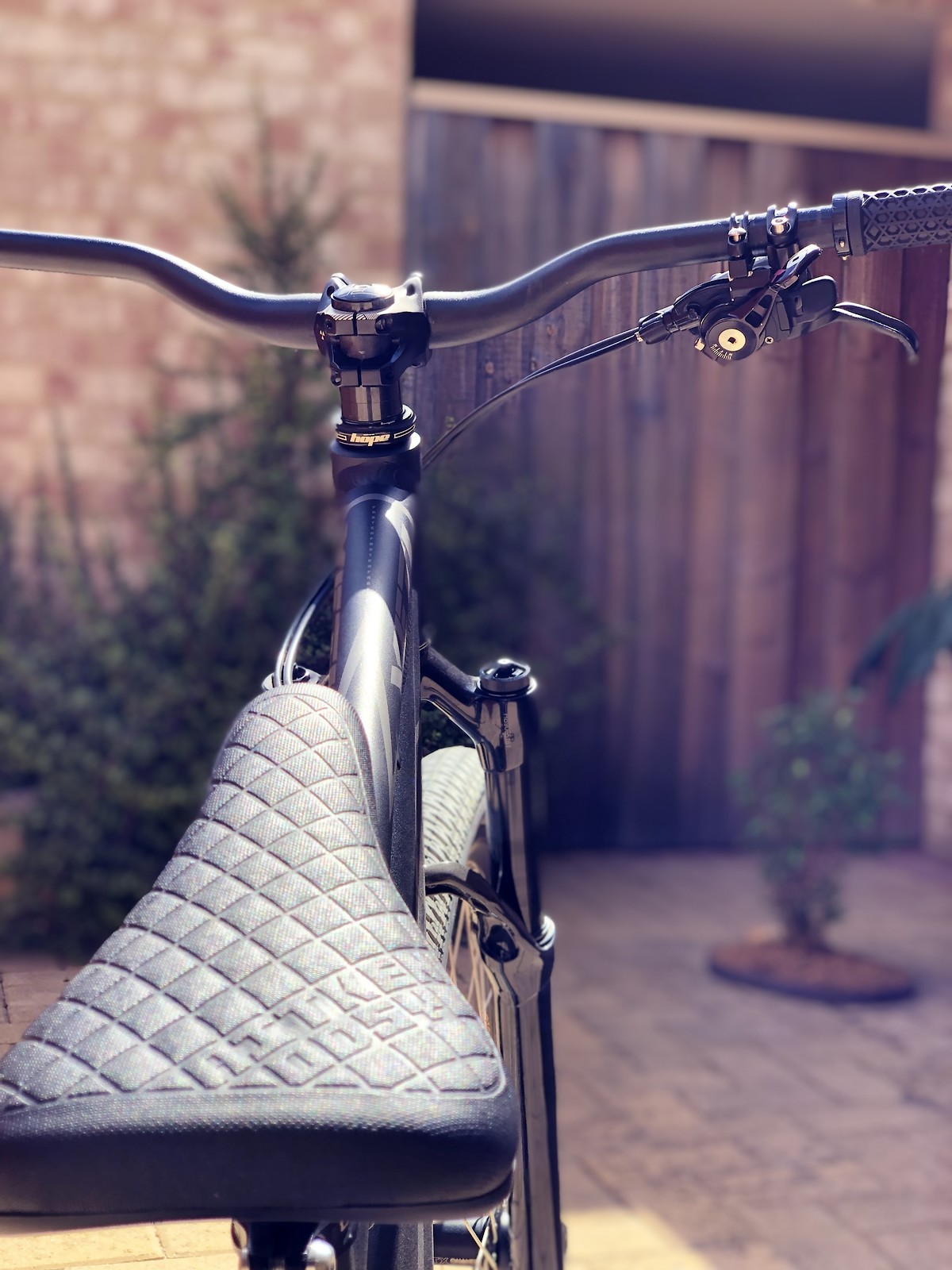 s1600 fullsizeoutput 66c