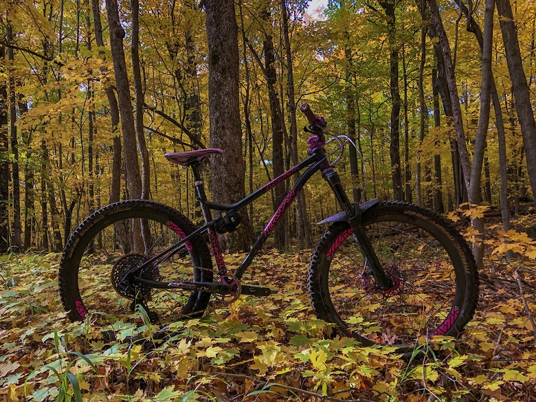 Commencal steel hardtail clearance
