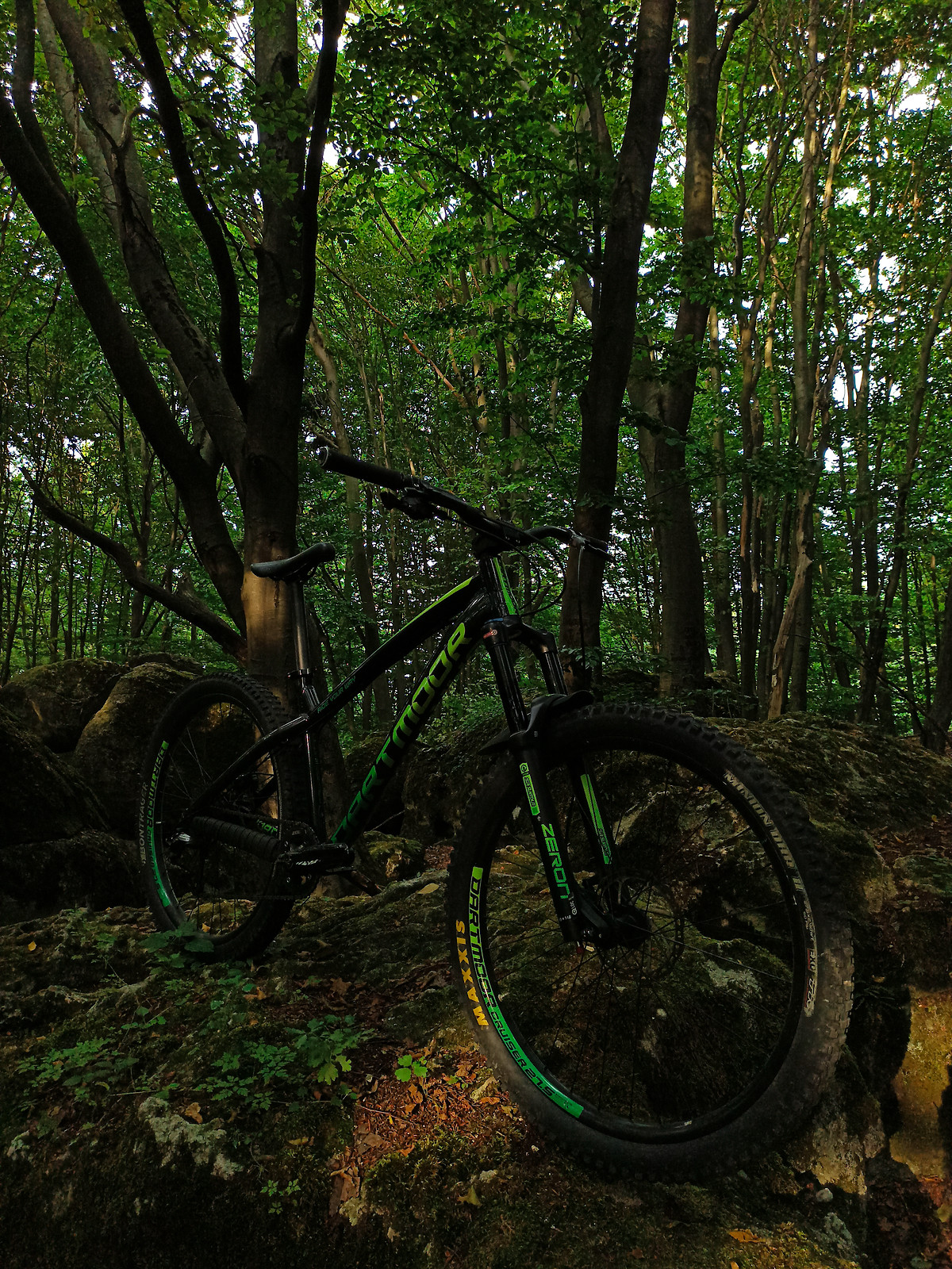 dartmoor hornet 4x frame