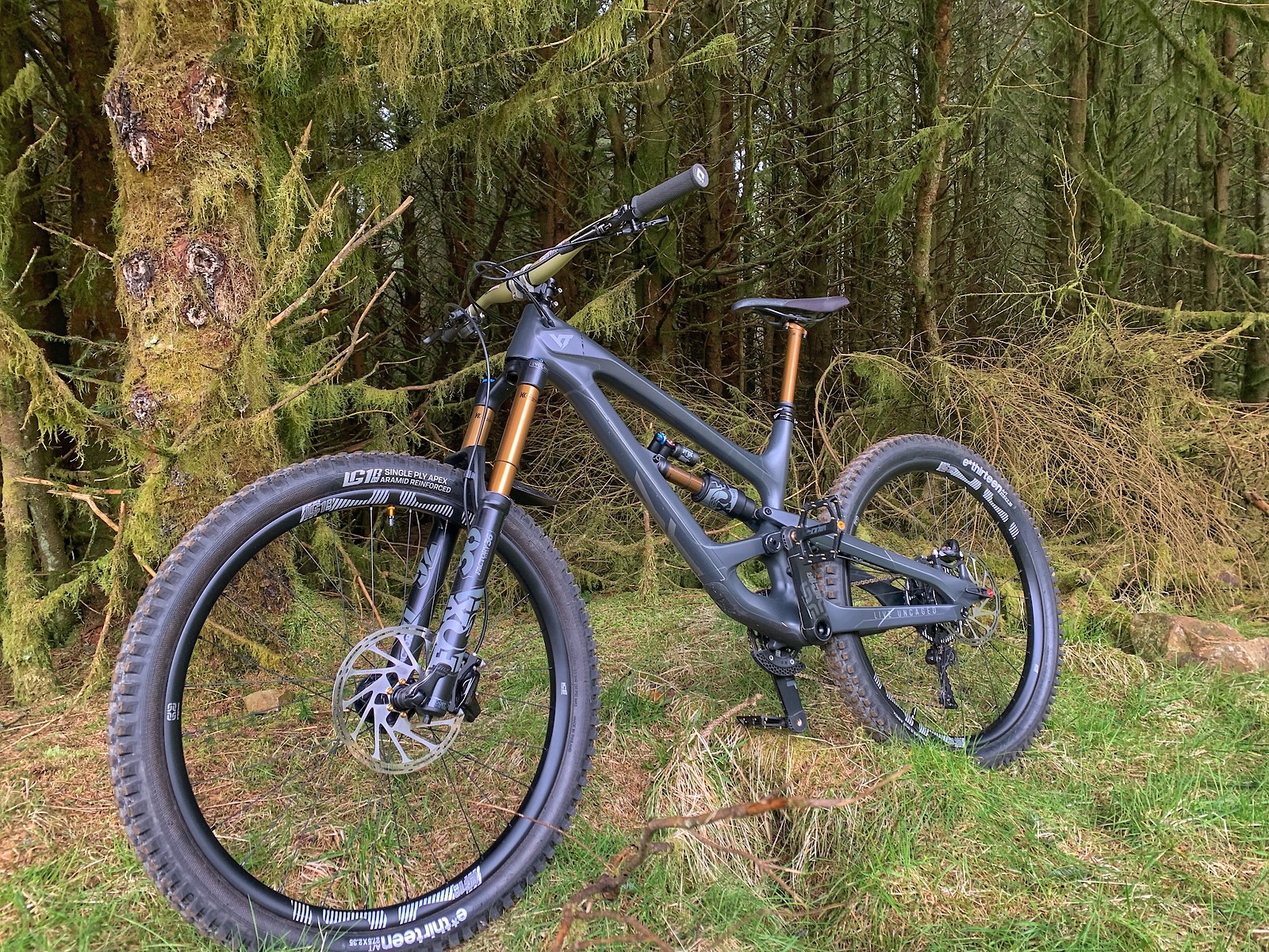 yt capra 29 cf pro race 2019