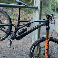 21 Stumpjumper EVO S-Works Custom