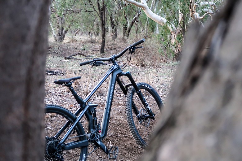 Canyon Strive Cf 5 0 Bd2000 S Bike Check Vital Mtb