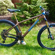 The Bronze Slasher (Chameleon C)