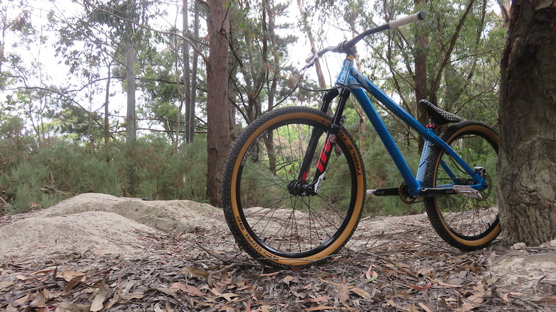 octane one zircus build