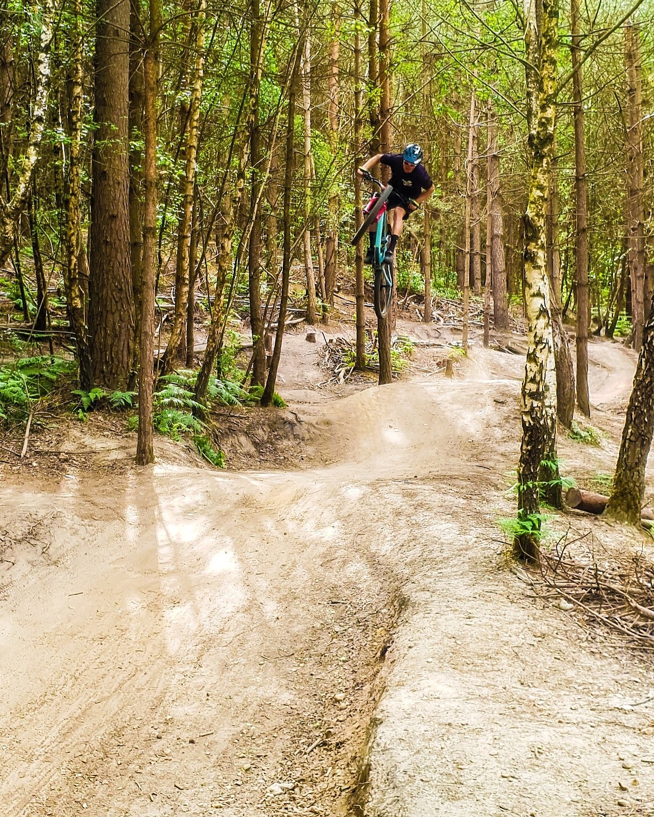 Biking Route Swinley Forest Red Trail Walks Swinley Mtb Mtb Trails