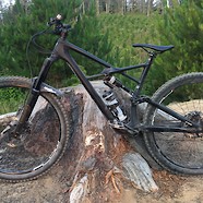 Spesh Enduro 29