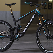 Meira the king's Focus Bikes