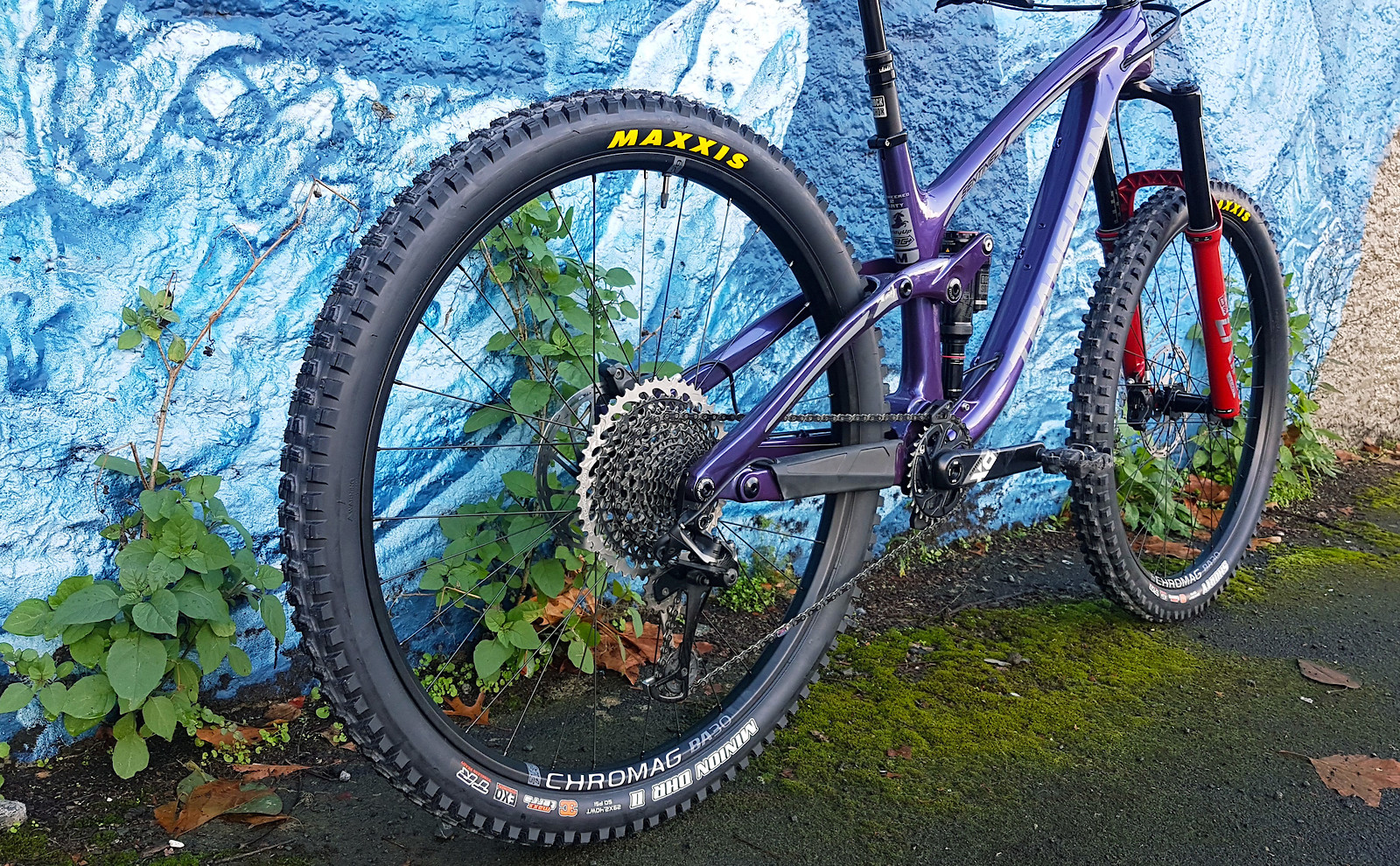 2019 transition sentinel clearance