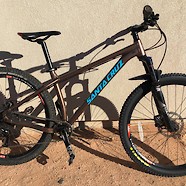 Santa Cruz Chameleon