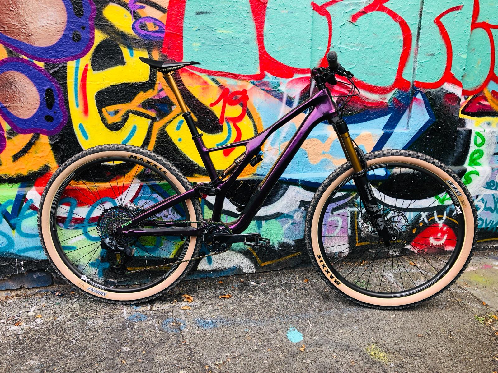 s works stumpjumper 2019