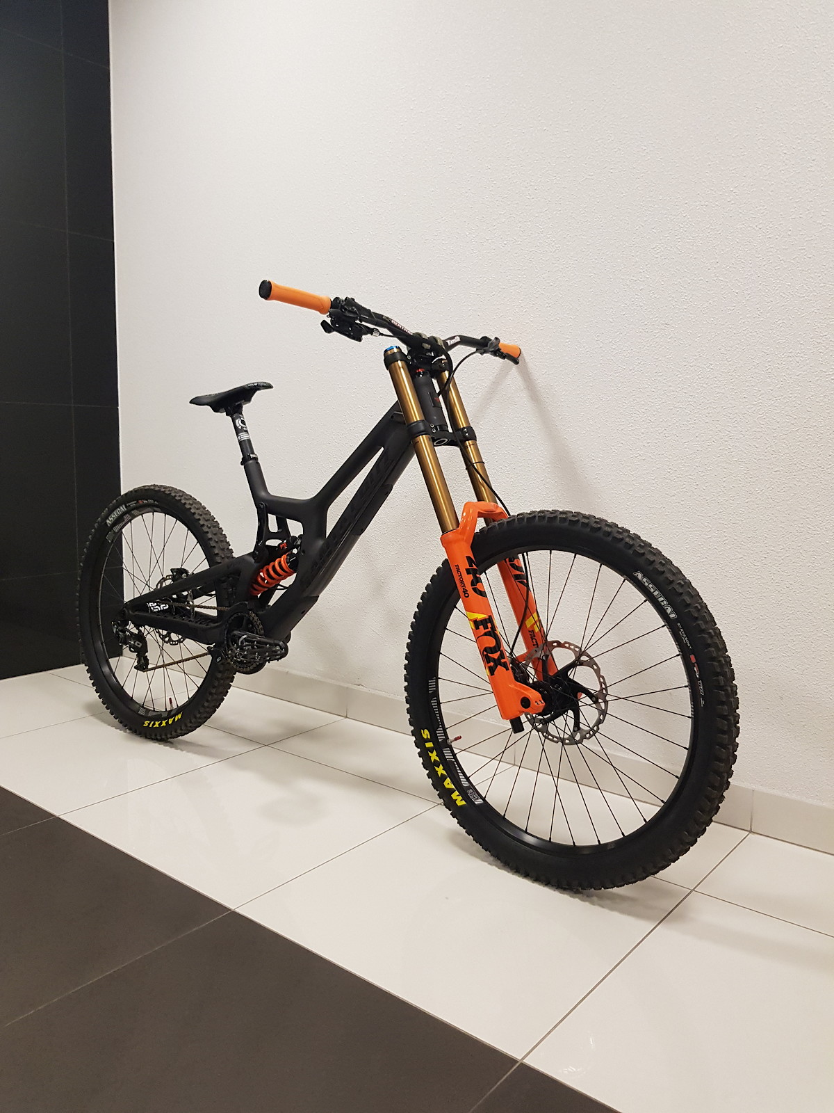 santa cruz v10 custom